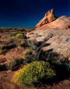 NEVADA Valley of Fire